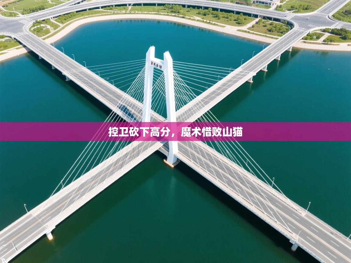 开云体育联赛专题页-控卫砍下高分,魔术惜败山猫 第4张