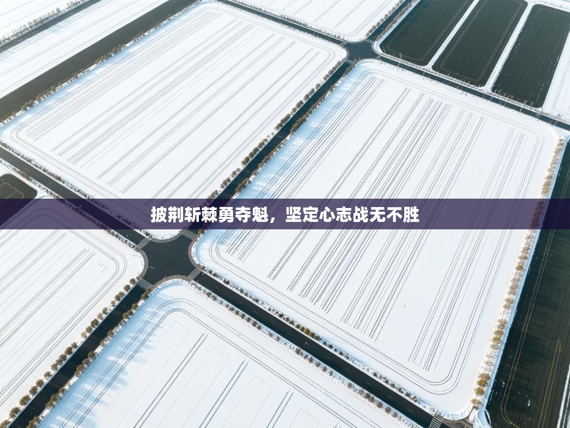 开云体育入口网址-披荆斩棘勇夺魁,坚定心志战无不胜 第3张