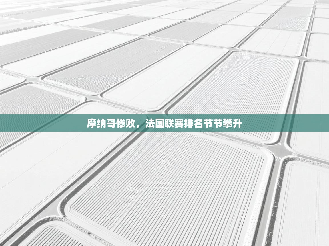 开云邀请码-摩纳哥惨败，法国联赛排名节节攀升  第3张