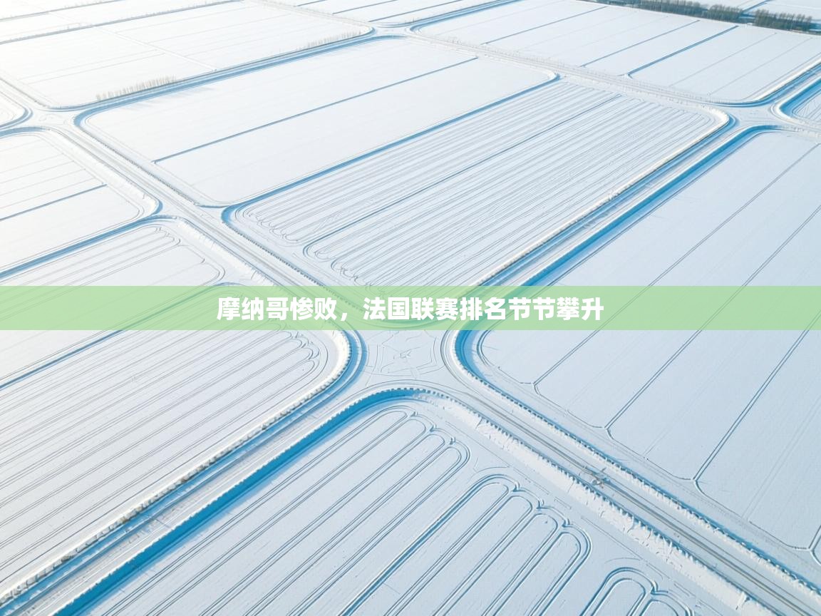 开云邀请码-摩纳哥惨败，法国联赛排名节节攀升  第4张