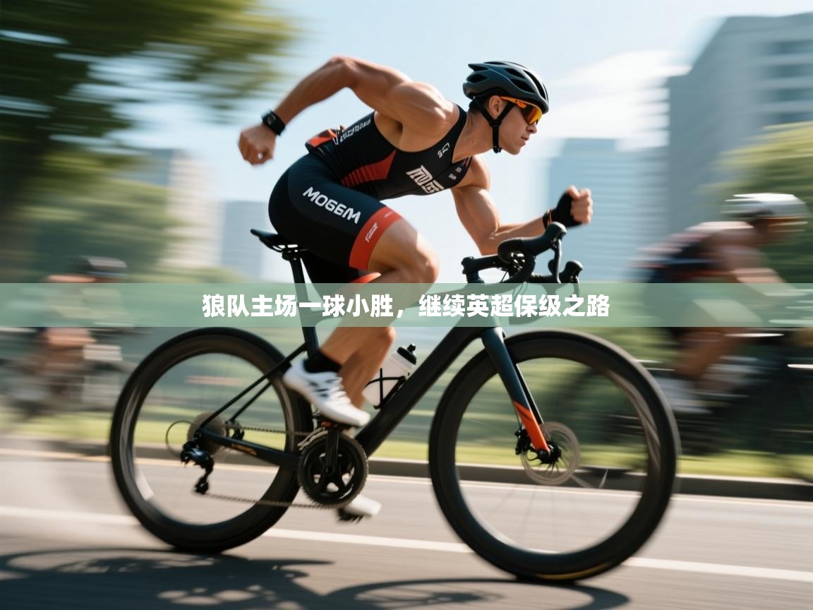 开云体育安卓APK下载-狼队主场一球小胜，继续英超保级之路  第2张