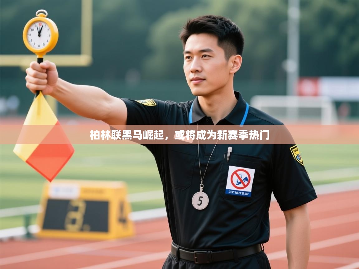 kaiyun体育入口-柏林联黑马崛起,或将成为新赛季热门 第2张