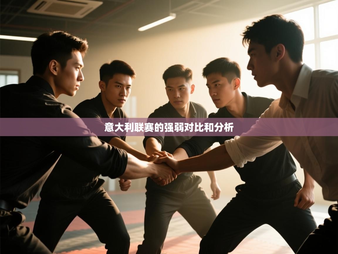 开云体育赛事比分直播-意大利联赛的强弱对比和分析 第3张