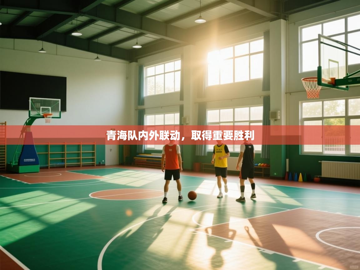 开云体育app下载地址-青海队内外联动,取得重要胜利 第3张