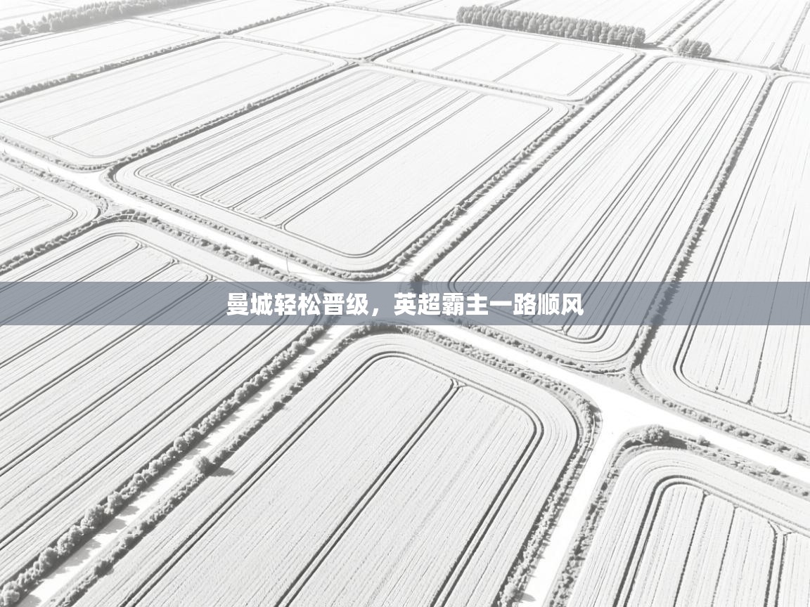 kaiyun体育入口-曼城轻松晋级，英超霸主一路顺风  第2张