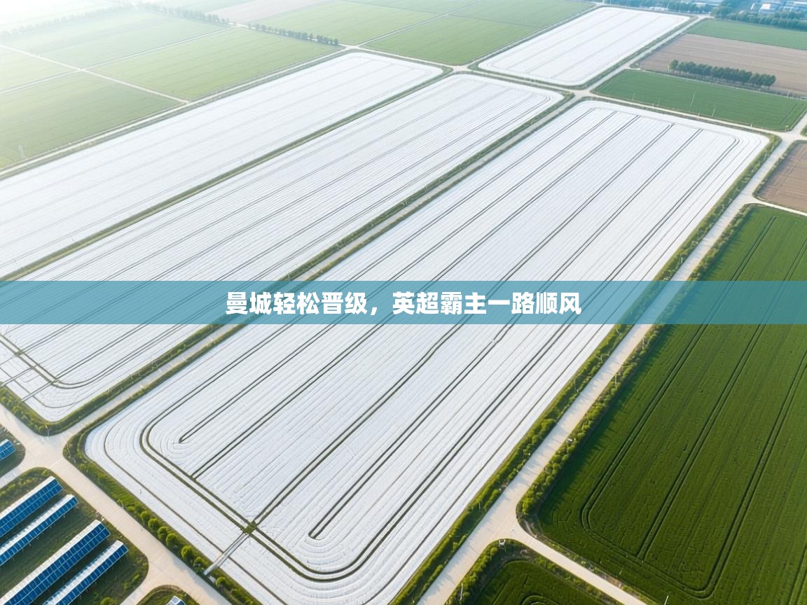 kaiyun体育入口-曼城轻松晋级，英超霸主一路顺风  第1张