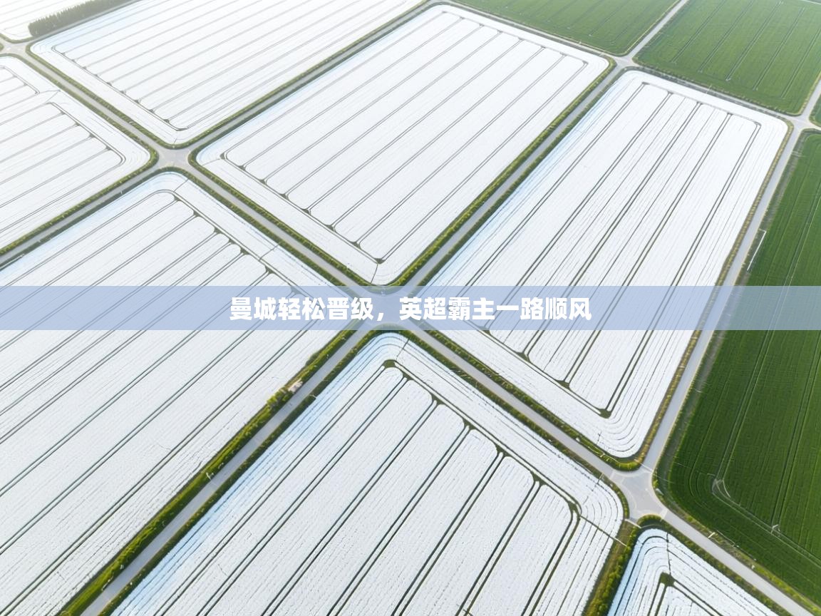 kaiyun体育入口-曼城轻松晋级，英超霸主一路顺风  第3张