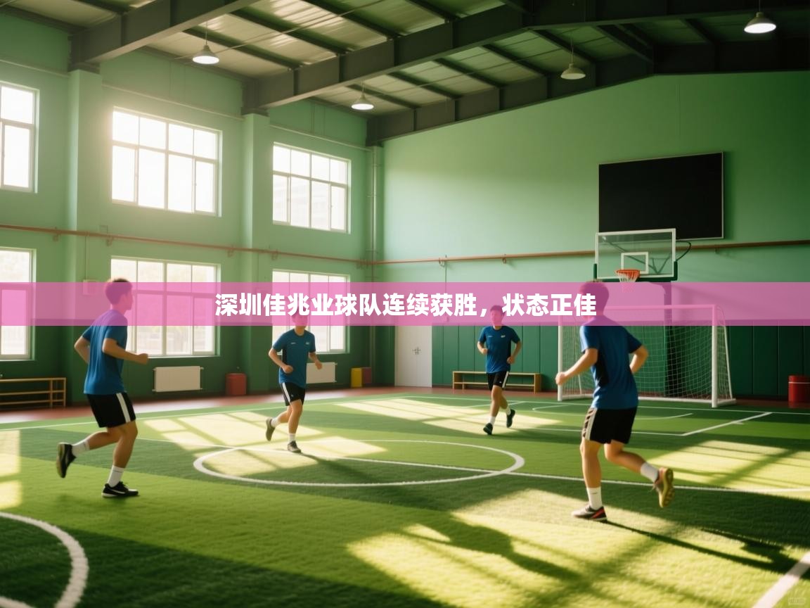 开云体育app下载入口-深圳佳兆业球队连续获胜，状态正佳  第1张