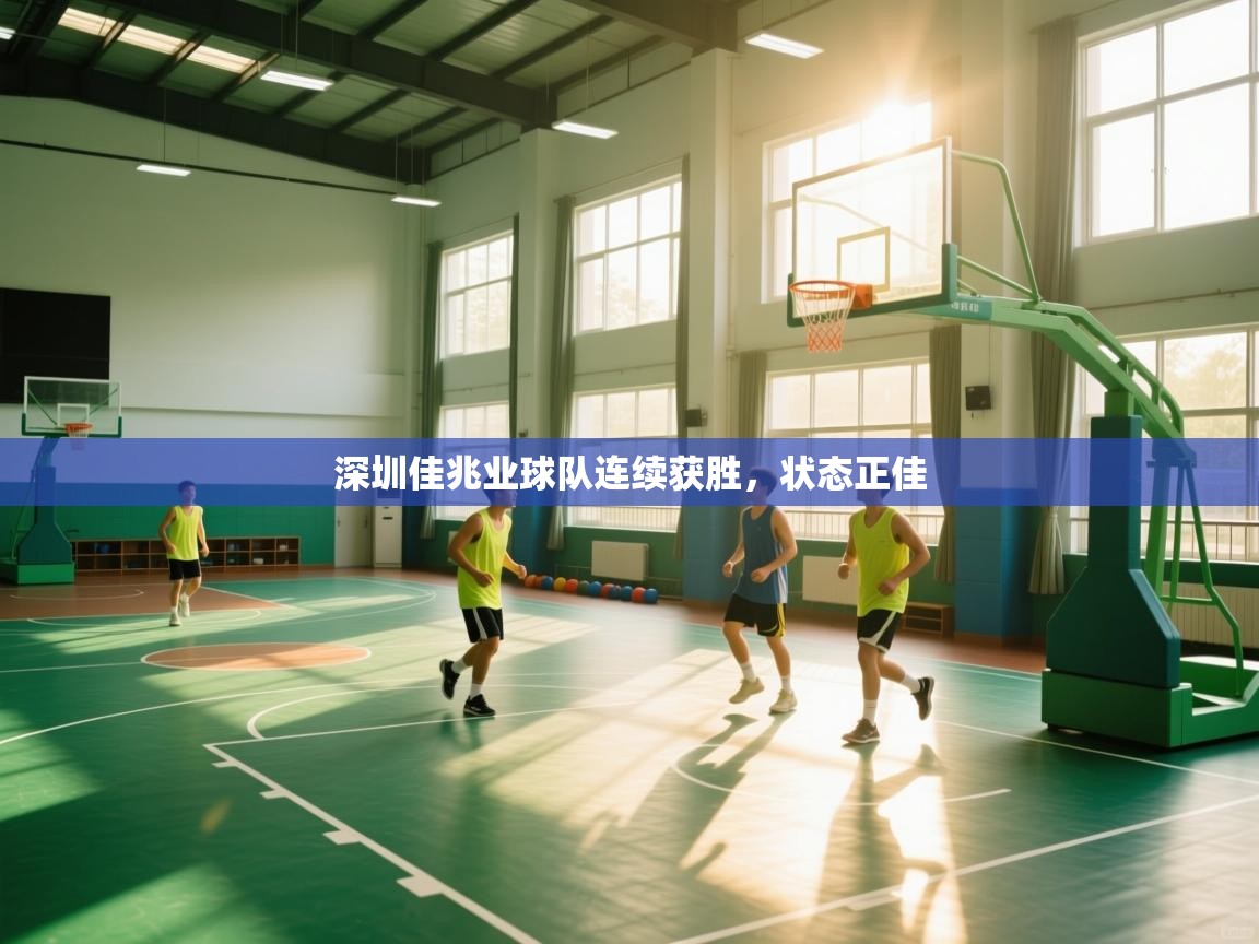 开云体育app下载入口-深圳佳兆业球队连续获胜，状态正佳  第2张