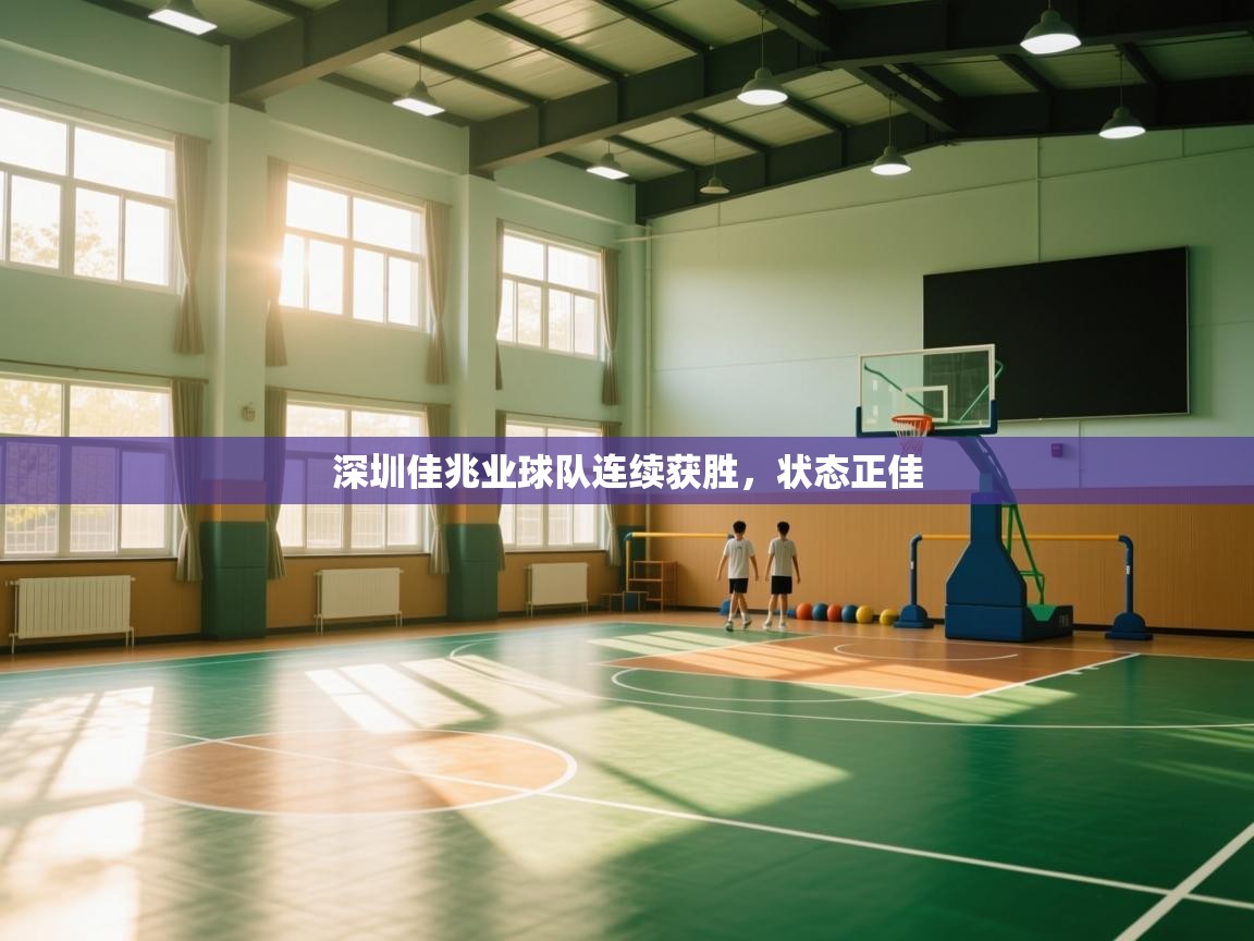 开云体育app下载入口-深圳佳兆业球队连续获胜，状态正佳  第3张