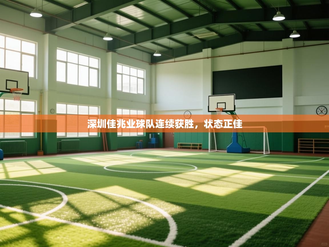 开云体育app下载入口-深圳佳兆业球队连续获胜，状态正佳  第4张